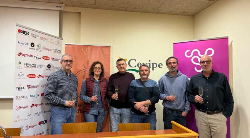 Els enòlegs analitzen la verema 2025