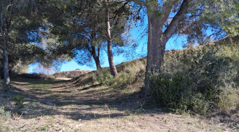 Es recupera un tram desaparegut del camí del Sant Sepulcre