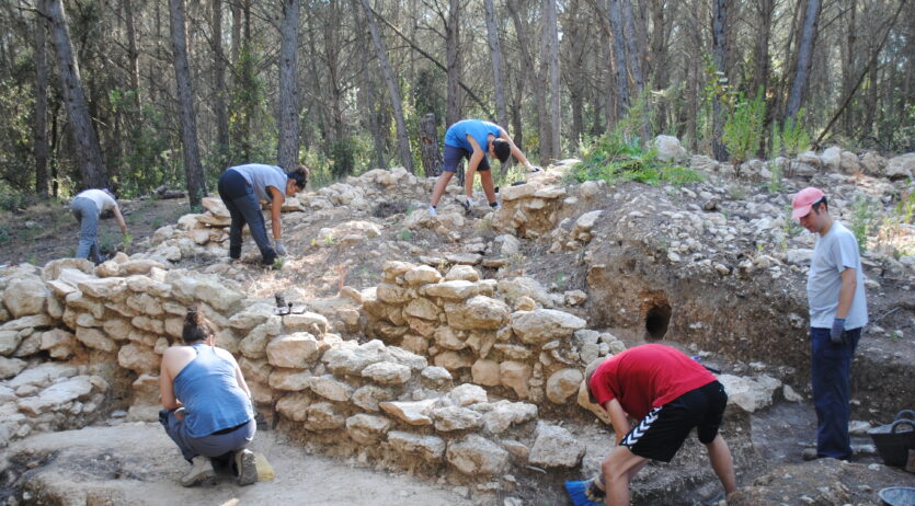 Les pràctiques agrícoles i ramaderes de fa 2.700 anys a la Timba de Santa Bàrbara