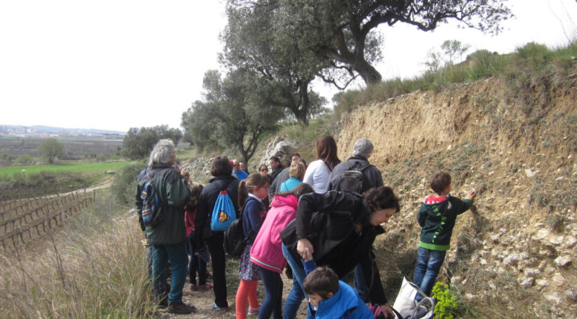 Activitat ‘Una muntanya de fòssils’, el proper diumenge a Sant Pau
