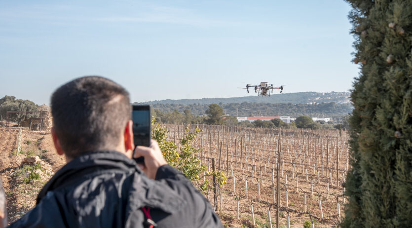 La Wine Innovation Week posa de manifest que la IA és ja un motor de transformació del sector