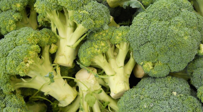 Vilafranca acull una xerrada per fomentar una alimentació infantil saludable