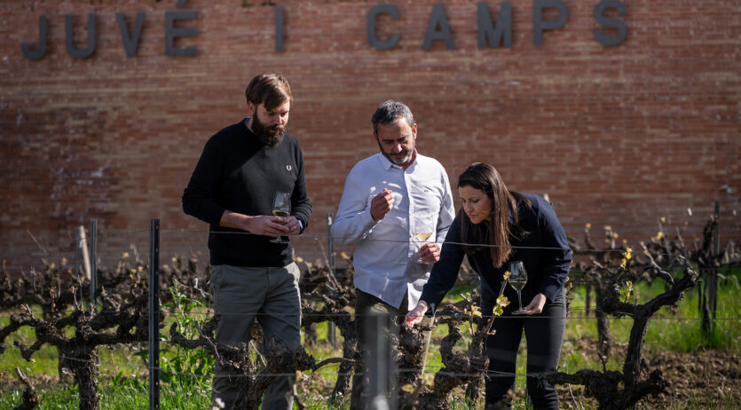 Juvé & Camps deixa la D.O. CAVA i se suma a la marca col·lectiva Corpinnat