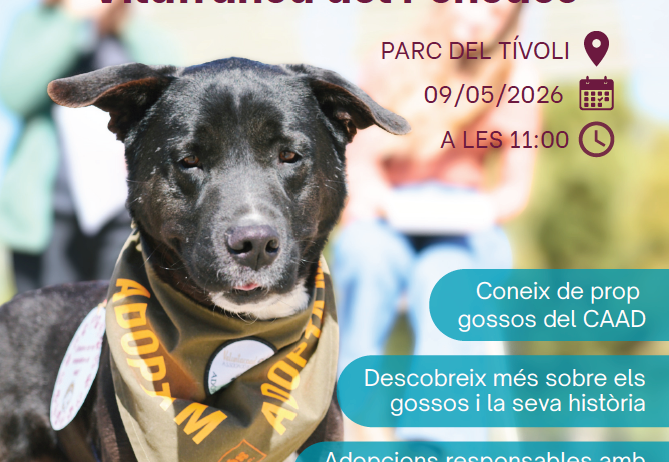 Vilafranca acull una nova Fira Animalista per fomentar l’adopció i el benestar animal