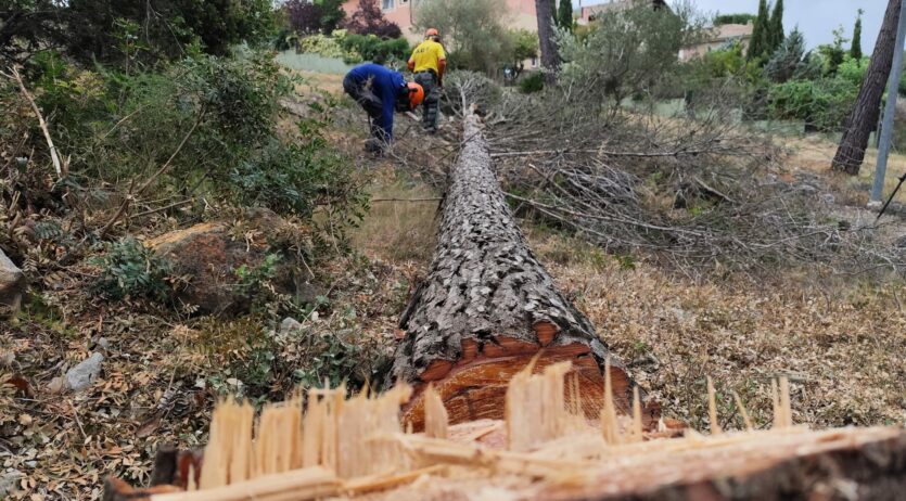 La prevenció durant tot l’any és clau en la gestió d’incendis forestals en ple canvi climàtic